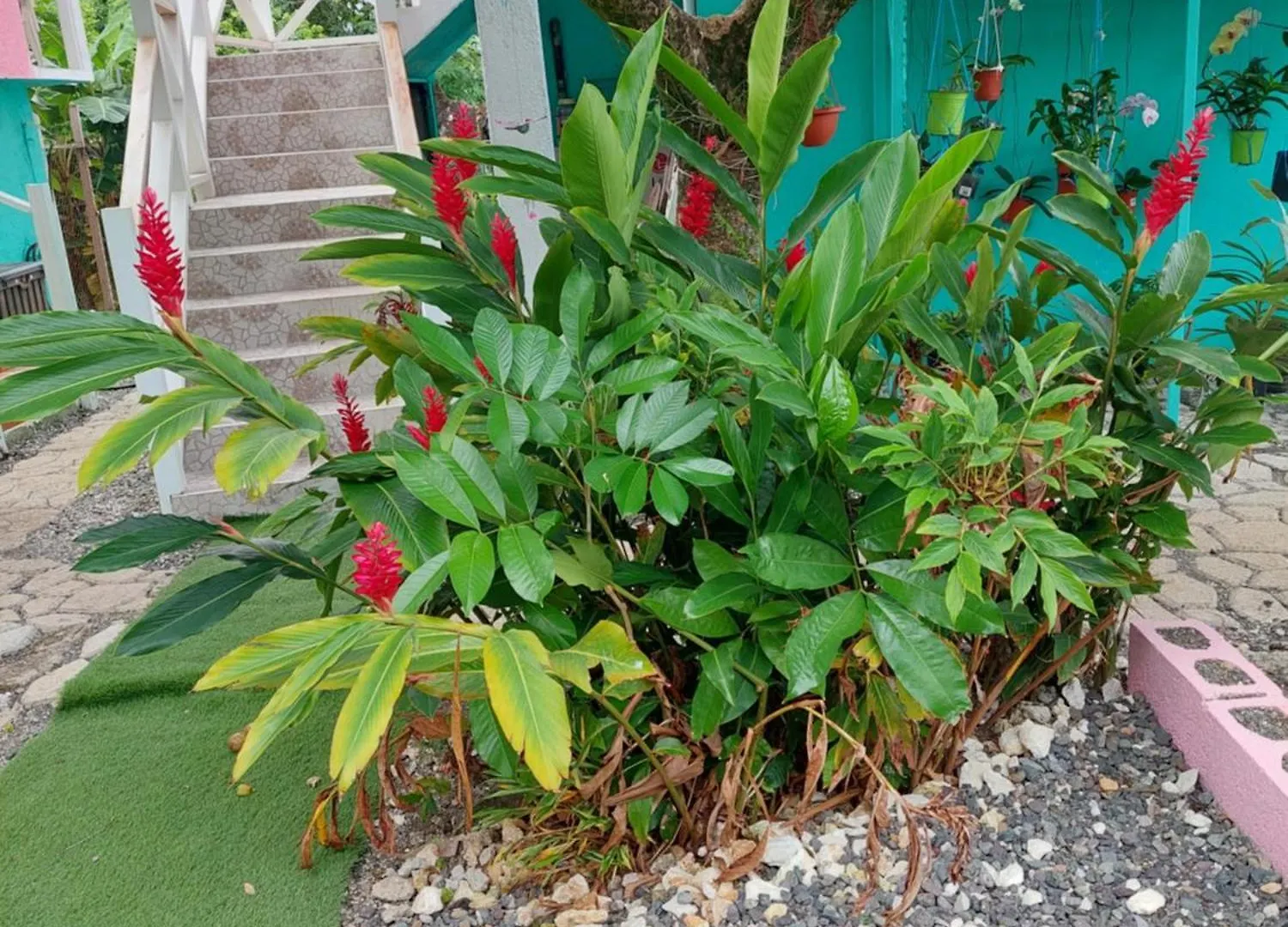 Kai'S Place At Tim Pappies 3Rd Floor Luxury Villa Port Antonio Apartamento